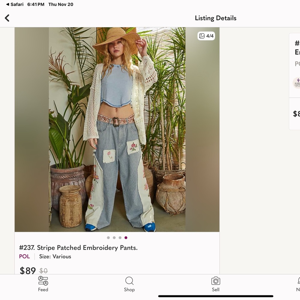 Floral Embroidered Striped Denim  Pants